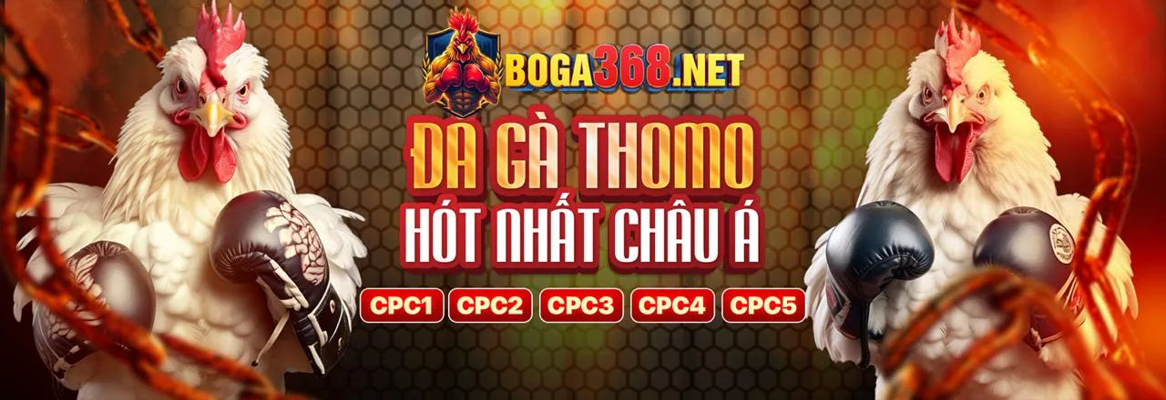 Quy tắc cá cược cho từng môn thể thao tại 55winbet